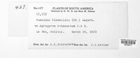 Puccinia clematidis image